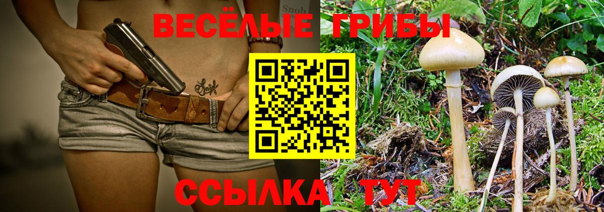 Галлюциногенные грибы мухоморы  купить наркотик  Галлюциногенные грибы мицелий  Астрахань  Вход с VPN 